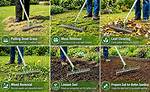Will Dethatching Remove Moss?