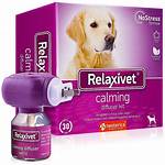 Will Diffusers Hurt Dogs?