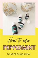 Will Diffusing Peppermint Oil Keep Bugs Away?
