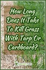 Will Disking Kill Grass?