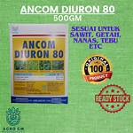 Will Diuron Kill Grass?
