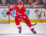 Will Dylan Larkin Be Captain?