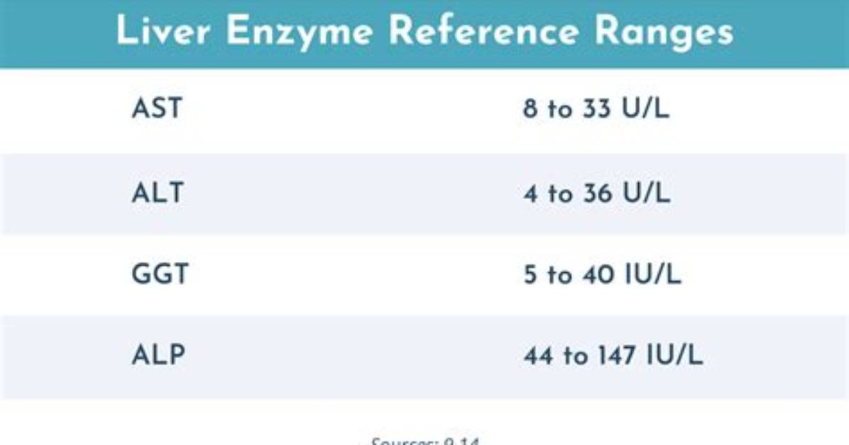 Will Elevated Liver Enzymes Return Normal?