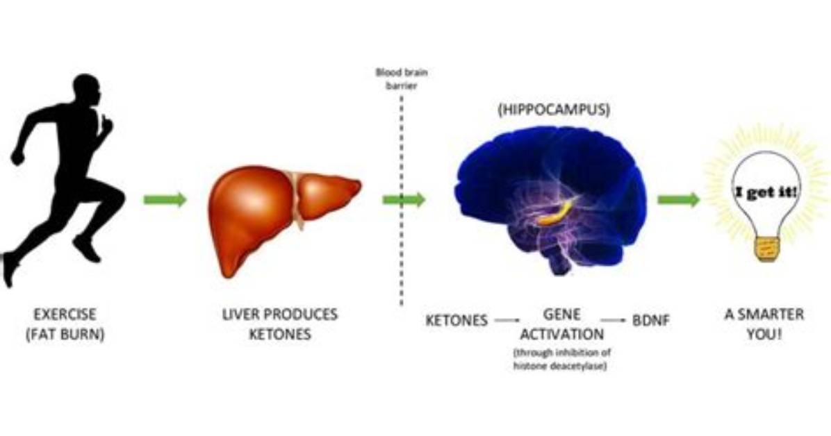 Will Exercise Increase Ketones?