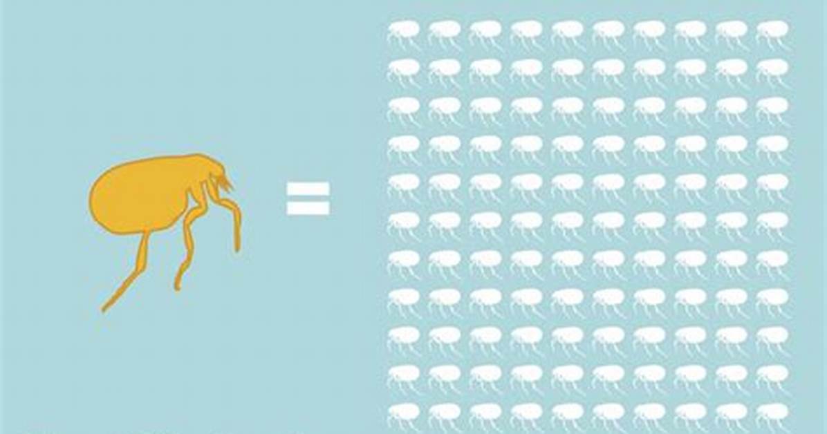 Will Fleas Eventually Die Without Pets?