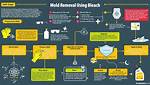 Will Germicidal Bleach Kill Mold?