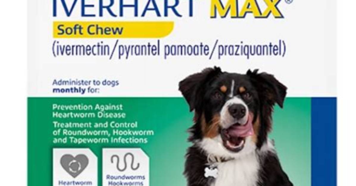 Will Heartworm Preventative Kill Hookworms?