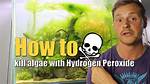 Will Hydrogen Peroxide Kill Algae?