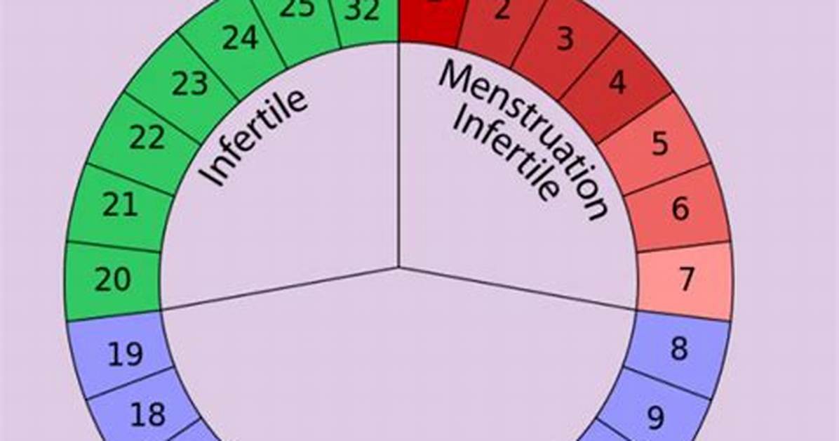 Will I Start Ovulating?