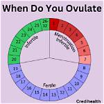 Will I Start Ovulating?