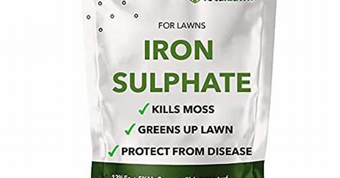 Will Iron Kill Moss?