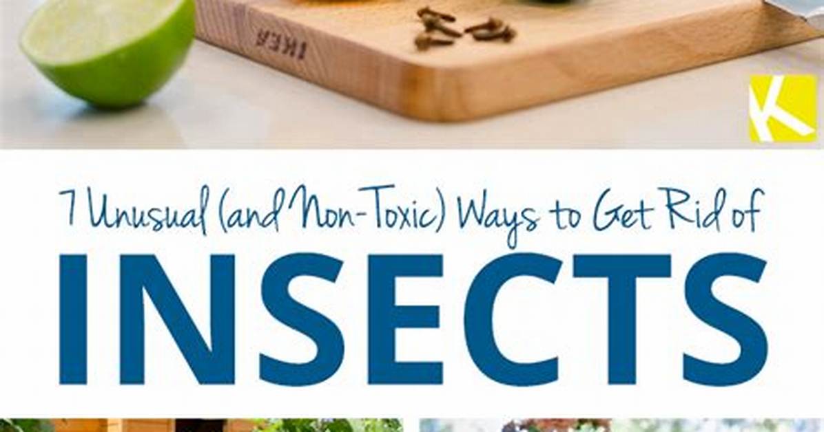 Will Lime Kill Insects
