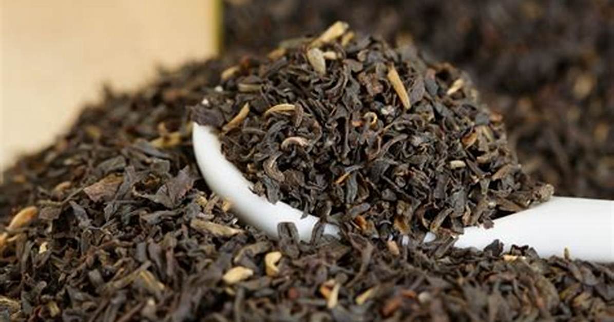 Will Loose Leaf Tea?