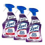 Will Lysol Kill Mold?