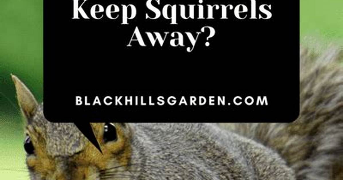 Will Mothballs Keep Squirrels Away