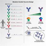 Will Mutation Effects Vaccine?