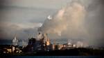 Will Northern Pulp Reopen?