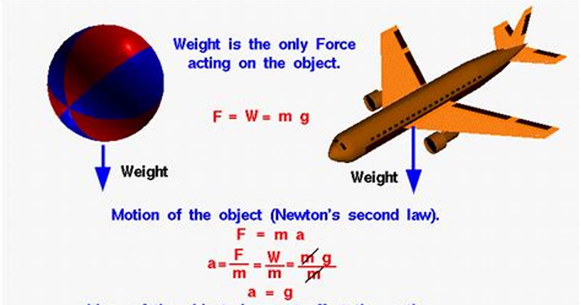 Will Objects Fall at the Same Speed?