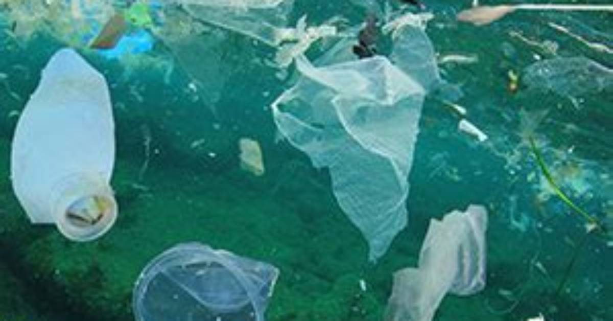 Will Oceans Be Fishless?