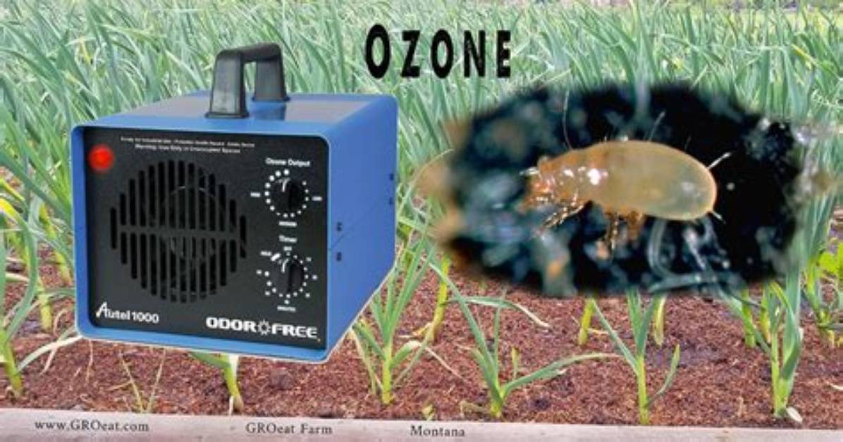 Will Ozone Generators Kill Bugs?