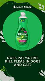 Will Palmolive Kill Fleas?