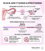 Will Plan B Work After Ovulation?