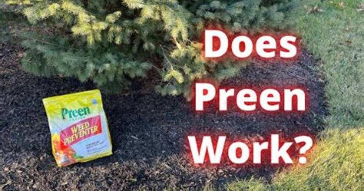 Will Preen Kill Flowers?