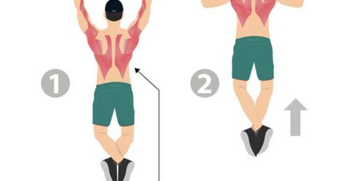 Will Pull Ups Help Posture?