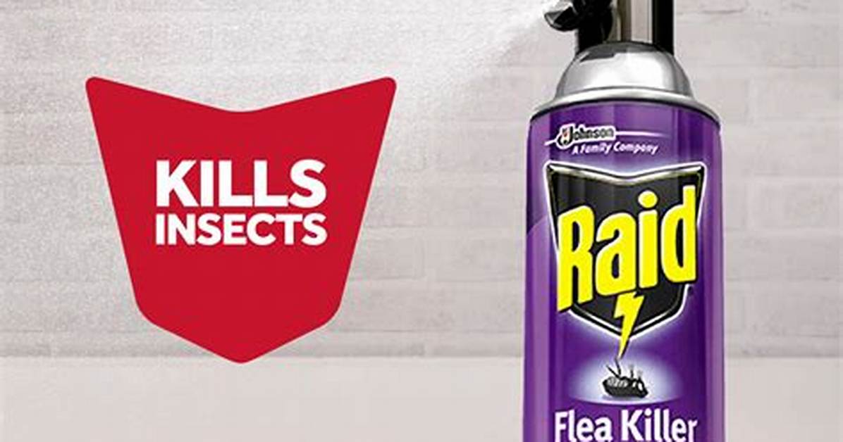 Will Raid Kill Silverfish?