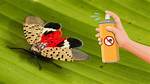 Will Raid Kill Spotted Lanternflies?