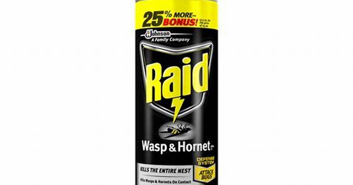 Will Raid Kill Wasps?