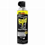 Will Raid Kill Wasps?