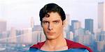 Will Reeve