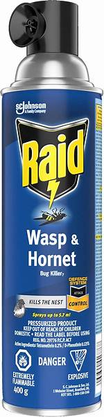Will Regular Raid Kill Wasps