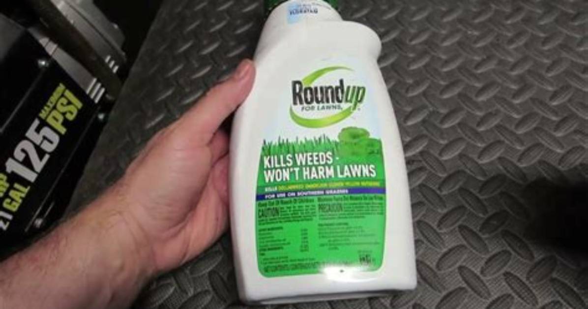 Will Roundup Kill Dollarweed?