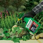 Will Roundup Kill Stinging Nettle?