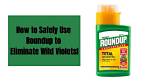 Will Roundup Kill Violets?