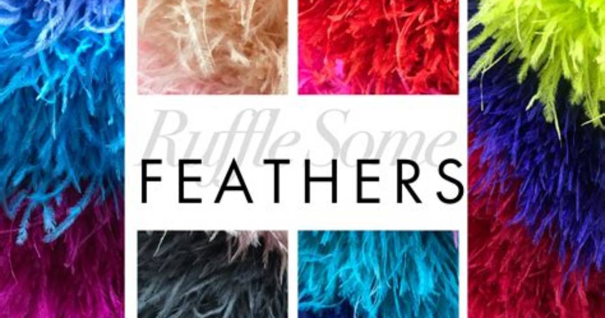 Will Ruffle Some Feathers?