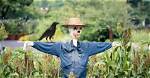 Will Scarecrows Scare Crows?