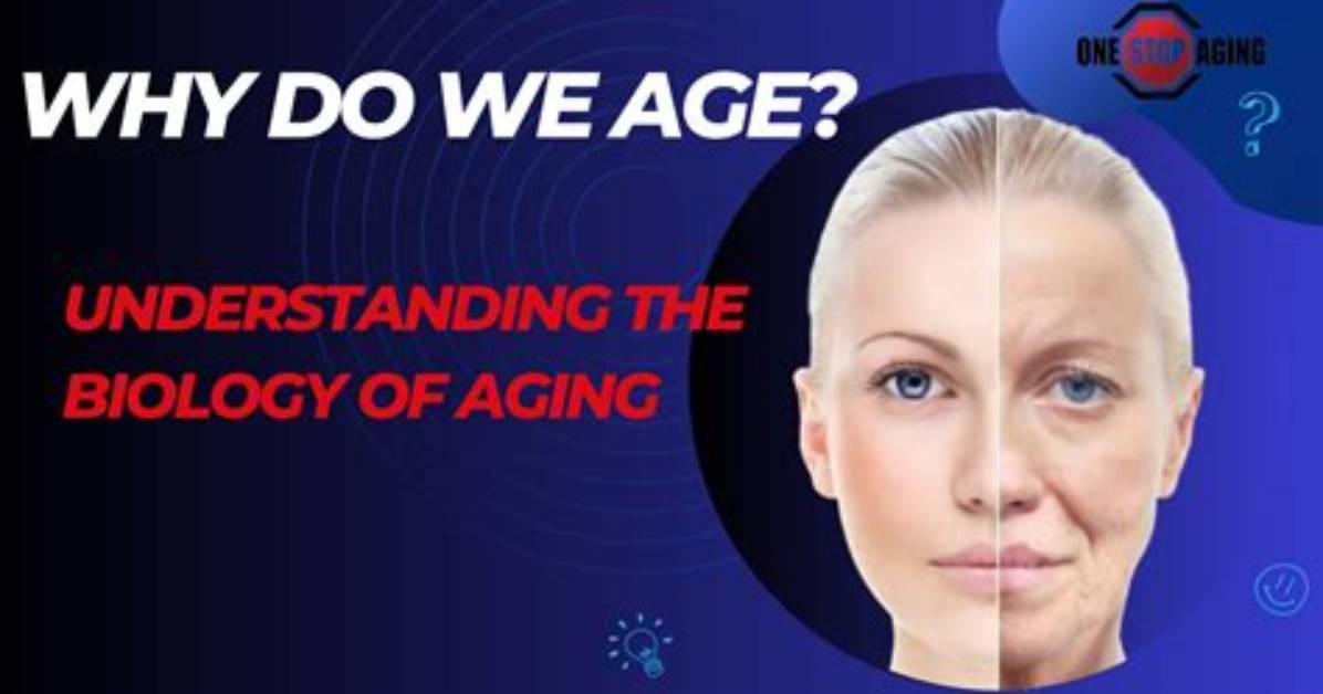 Will Science Stop Aging?