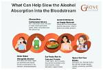 Will Slow Down Alcohol Absorption?
