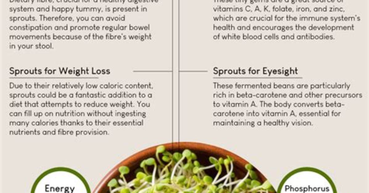 Will Sprouts Increase Weight?