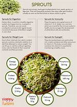 Will Sprouts Increase Weight?