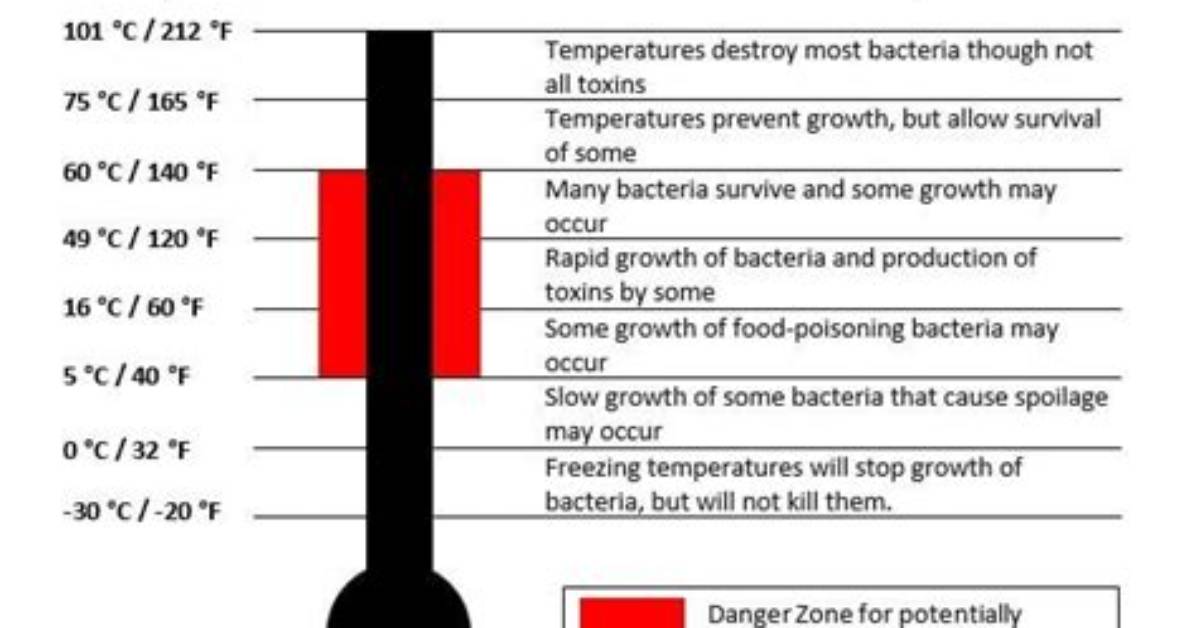 Will Temperature Kill Bacteria?
