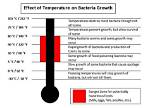 Will Temperature Kill Bacteria?