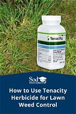 Will Tenacity Kill Goosegrass?