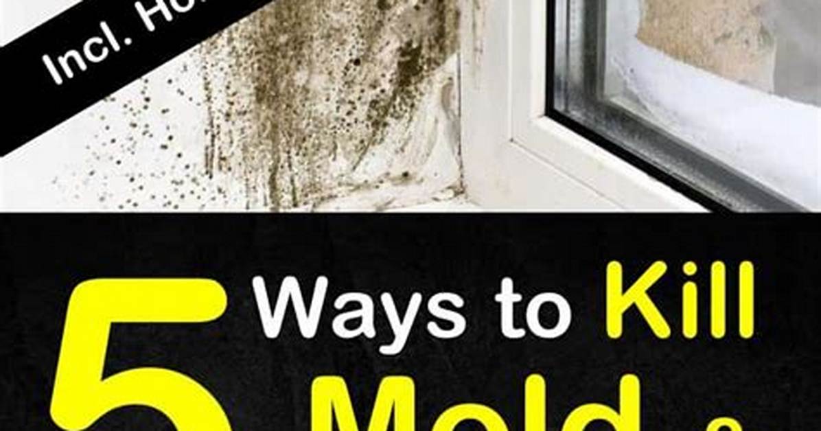 Will the Dryer Kill Mildew?