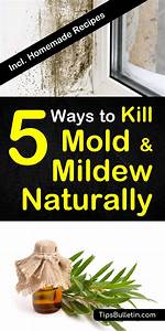 Will the Dryer Kill Mildew?