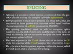 Will There Be a Splice?