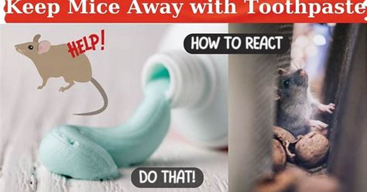 Will Toothpaste Kill Mice?